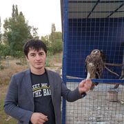  ,   , 30 ,  