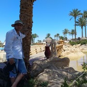 ���������� ����, ���� ������� ������, 38 ���, ������������ ��� ������, ����� � ���������, c�������� ���������