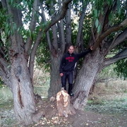 ���������� ������, ���� ������� �������, 46 ���, ������������ ��� ������, ����� � ���������, c�������� ���������