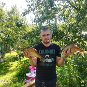  ,  , 43