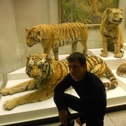 ���������� ���������� �����, ���� ������� ARMINE, 34 ����, ������������ ��� ����� � ���������, c�������� ���������