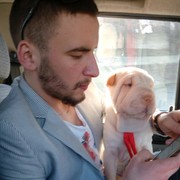 ���������� �������, ���� ������� Gosha, 35 ���, ������������ ��� ������, ����� � ���������, c�������� ���������