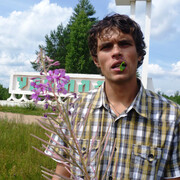 ���������� �������, ���� ������� Softroop, 38 ���, ������������ ��� ������, ����� � ���������