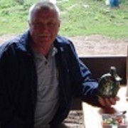  ,   , 74 ,   