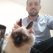  ,   , 28 ,   ,   