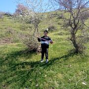 ���������� �������, ���� ����� �����, 19 ���, ������������ ��� ������, ����� � ���������, c�������� ���������