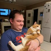 ���������� �����-���������, ���� ������� �������, 28 ���, ������������ ��� c�������� ���������