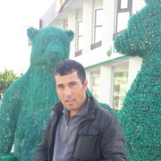  ,   , 41 ,  
