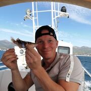 ���������� ��������, ���� ������� �����, 41 ���, ������������ ��� ������, ����� � ���������, c�������� ���������