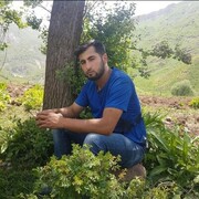 ���������� �����-���������, ���� ������� ������, 30 ���, ������������ ��� ����� � ���������, c�������� ���������