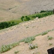 ���������� ������, ���� ������� ���, 27 ���, ������������ ��� ������, ����� � ���������