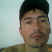 ,   ziz, 45 ,  