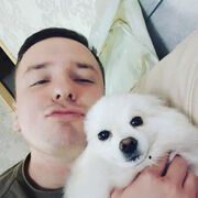 ���������� �����������, ���� ������� ������, 33 ����, ������������ ��� ������, ����� � ���������