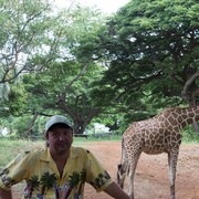 ���������� ������, ���� ������� �����, 61 ���, ������������ ��� ������, ����� � ���������