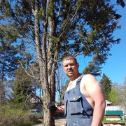 ���������� �����-���������, ���� ������� ������, 38 ���, ������������ ��� ������, ����� � ���������, c�������� ���������