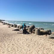 ���������� �����������, ���� ������� �������, 66 ���, ������������ ��� ������, ����� � ���������