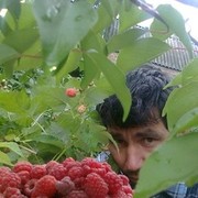  ,  , 52