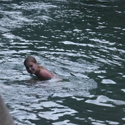 ���������� ������, ���� ������� ���������, 38 ���, ������������ ��� ������, ����� � ���������, c�������� ���������