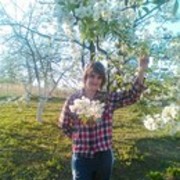 ���������� �����������, ���� ������� �����, 56 ���, ������������ 