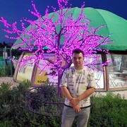 ���������� ��������, ���� ������� Millennium, 37 ���, ������������ ��� ������, ����� � ���������, c�������� ���������