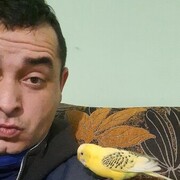  ,   , 36 ,   ,   