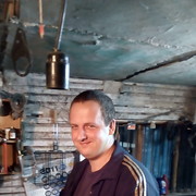 ���������� �������, ���� ������� SHINOBI, 36 ���, ������������ ��� ������, ����� � ���������, c�������� ���������