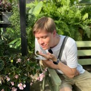 ���������� �����, ���� ������� ������, 30 ���, ������������ ��� ������, ���������