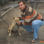  ,   , 97 ,  