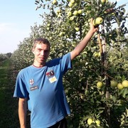  ,   , 38 ,   ,   , c , 