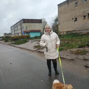 ���������� �������, ���� ������� �������, 65 ���, ������������ ��� ������, ����� � ���������, c�������� ���������