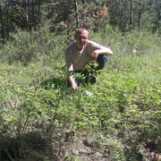 ���������� ������, ���� ������� ���, 42 ����, ������������ ��� ������