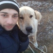 ���������� �������, ���� ������� Victor, 35 ���, ������������ ��� ������, ����� � ���������, c�������� ���������