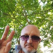 ���������� ������������, ������� ���������, 49