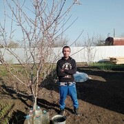 ���������� ���������, ���� ������� �����, 49 ���, ������������ ��� ������, ����� � ���������, c�������� ���������