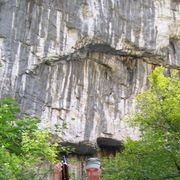 ���������� ������, ���� ������� EDYARD, 63 ����, ������������ ��� ����� � ���������, c�������� ���������