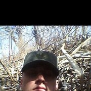 ���������� ������, ���� ������� ���������, 28 ���, ������������ ��� ������, ����� � ���������, c�������� ���������, ���������