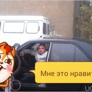 ���������� ���������, ���� ������� ����������, 44 ����, ������������ ��� ������, ����� � ���������, c�������� ���������