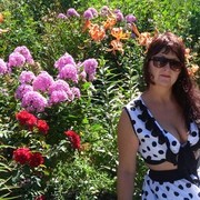  ,   , 54 ,   