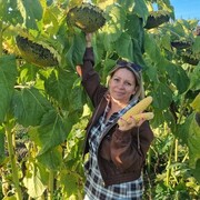  -,   , 48 ,   ,   , c , 