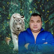  ,   , 49 ,   