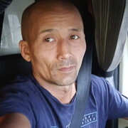  -,   , 41 ,   