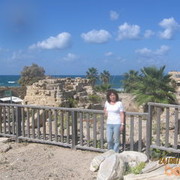 ���������� ����, ���� ������� ����, 64 ����, ������������ ��� ����� � ���������, c�������� ���������