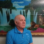  ,   , 65 ,  