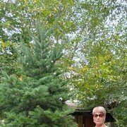 ���������� �����, ���� ������� �������, 65 ���, ������������ ��� ������, ����� � ���������