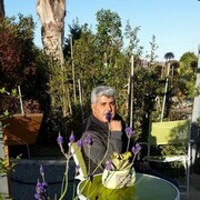  ,   Saadi, 56 ,   ,   , c , 