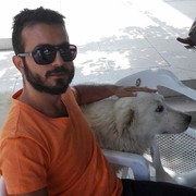 ���������� ������, ���� ������� �����, 33 ����, ������������ ��� ������, ����� � ���������, c�������� ���������, ���������