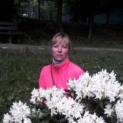  ,  , 50