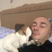 ���������� ������, ���� ������� �����, 40 ���, ������������ ��� ������, c�������� ���������, ���������