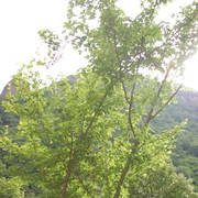  ,    30, 41 ,   