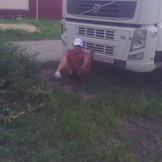 ���������� �������, ���� ������� Dmitrii, 55 ���, ������������ ��� ������, ����� � ���������, c�������� ���������